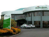 Smith & Smith Corporate Office Auckland / Interior Designer